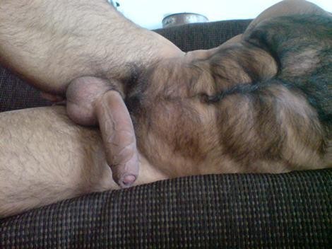 ; Big Dick Hairy 