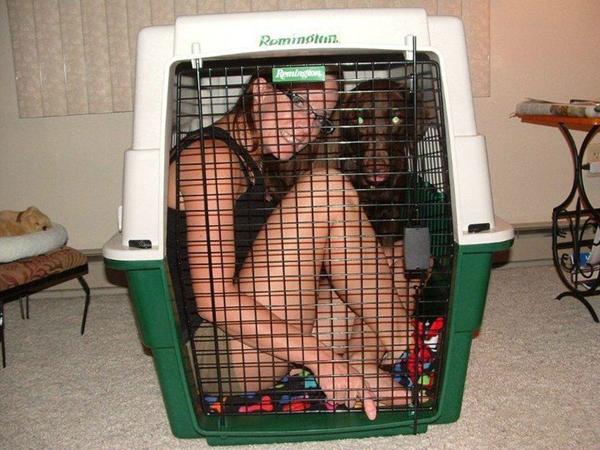 All dogs and bitches in the cage please; Bondage 